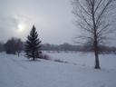 winter scene