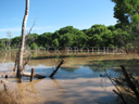 San Pedro River