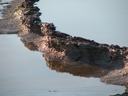 geyser closeup
