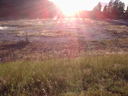 meadow sunset