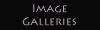Image Gallery