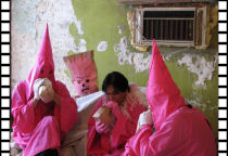 Plush Posh Pink